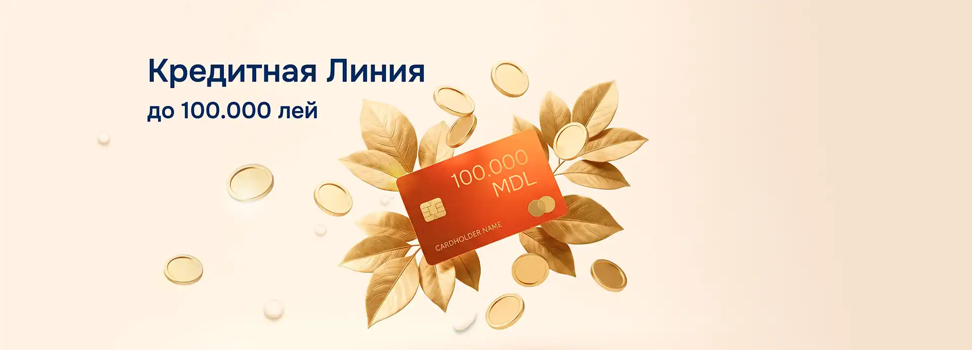 Кредитная линия до 100 000 лей
